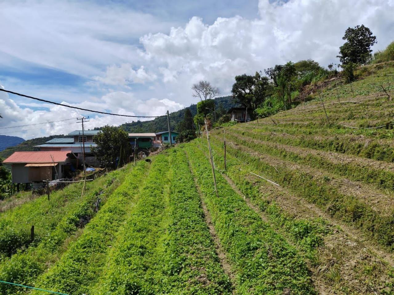 Kundasang Mount Garden Buitenkant foto